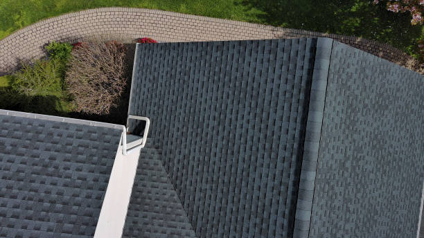 Best Skylight Installation and Repair  in Bicknell, IN